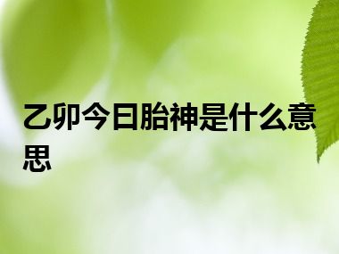 乙卯今曰胎神是什么意思