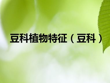 豆科植物特征（豆科）