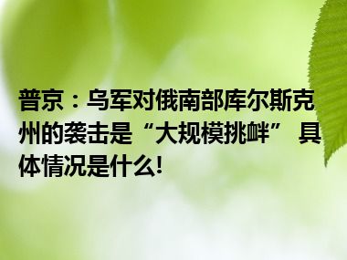 普京：乌军对俄南部库尔斯克州的袭击是“大规模挑衅” 具体情况是什么!