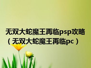 无双大蛇魔王再临psp攻略（无双大蛇魔王再临pc）