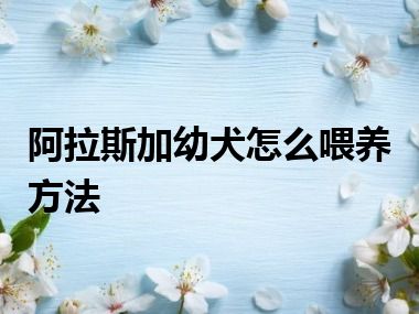 阿拉斯加幼犬怎么喂养方法