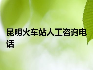 昆明火车站人工咨询电话