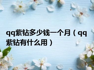 qq紫钻多少钱一个月（qq紫钻有什么用）