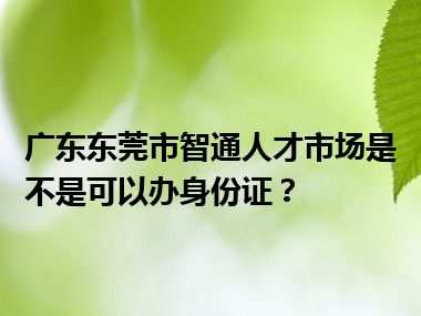 广东东莞市智通人才市场是不是可以办身份证？