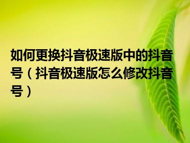 如何更换抖音极速版中的抖音号（抖音极速版怎么修改抖音号）