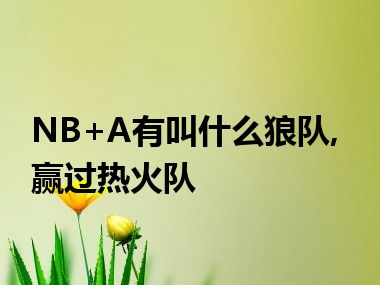 NB+A有叫什么狼队,赢过热火队