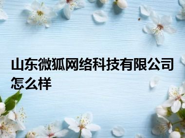 山东微狐网络科技有限公司怎么样