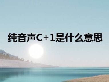 纯音声C+1是什么意思