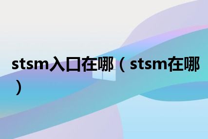 stsm入口在哪（stsm在哪）