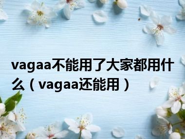 vagaa不能用了大家都用什么（vagaa还能用）