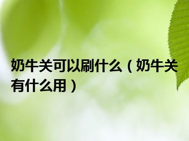 奶牛关可以刷什么（奶牛关有什么用）