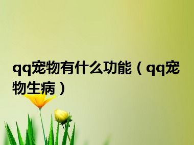 qq宠物有什么功能（qq宠物生病）