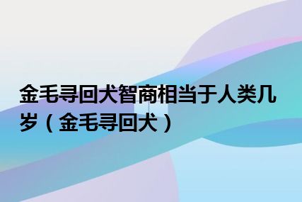 金毛寻回犬智商相当于人类几岁（金毛寻回犬）