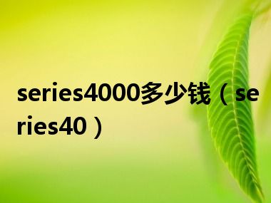 series4000多少钱（series40）