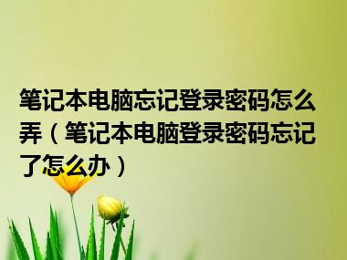 笔记本电脑忘记登录密码怎么弄（笔记本电脑登录密码忘记了怎么办）