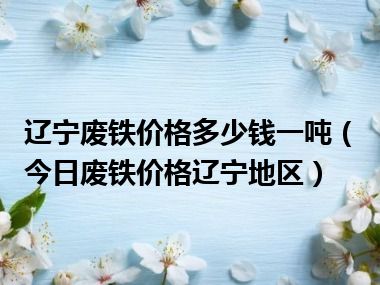 辽宁废铁价格多少钱一吨（今日废铁价格辽宁地区）