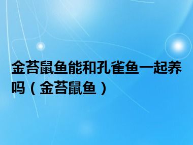 金苔鼠鱼能和孔雀鱼一起养吗（金苔鼠鱼）