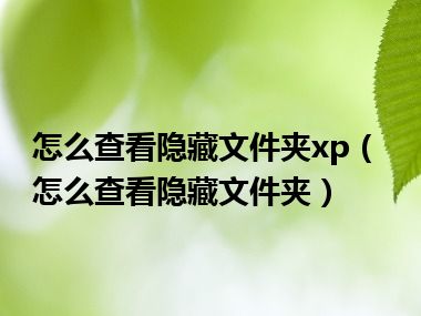 怎么查看隐藏文件夹xp（怎么查看隐藏文件夹）