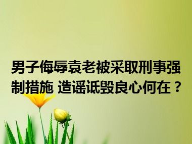 男子侮辱袁老被采取刑事强制措施 造谣诋毁良心何在？