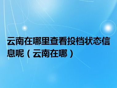 云南在哪里查看投档状态信息呢（云南在哪）