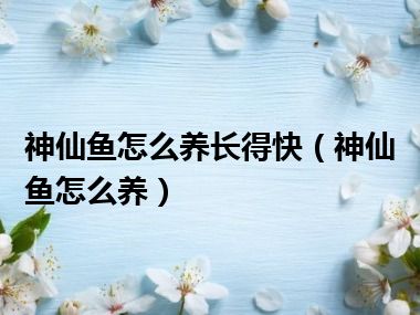 神仙鱼怎么养长得快（神仙鱼怎么养）