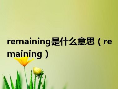 remaining是什么意思（remaining）