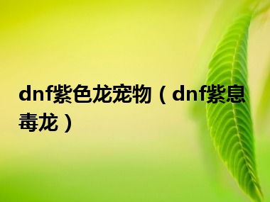 dnf紫色龙宠物（dnf紫息毒龙）