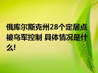 俄库尔斯克州28个定居点被乌军控制 具体情况是什么!