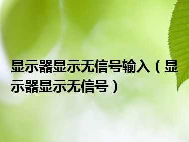 显示器显示无信号输入（显示器显示无信号）