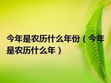 今年是农历什么年份（今年是农历什么年）