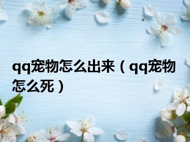 qq宠物怎么出来（qq宠物怎么死）