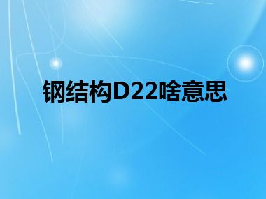 钢结构D22啥意思