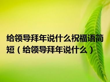 给领导拜年说什么祝福语简短（给领导拜年说什么）