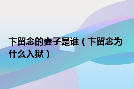 卞留念的妻子是谁（卞留念为什么入狱）