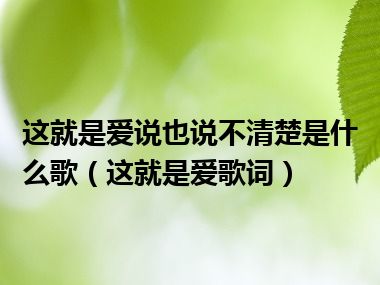 这就是爱说也说不清楚是什么歌（这就是爱歌词）