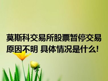 莫斯科交易所股票暂停交易原因不明 具体情况是什么!