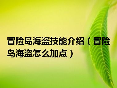 冒险岛海盗技能介绍（冒险岛海盗怎么加点）