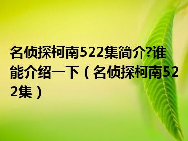 名侦探柯南522集简介?谁能介绍一下（名侦探柯南522集）