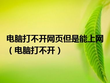 电脑打不开网页但是能上网（电脑打不开）