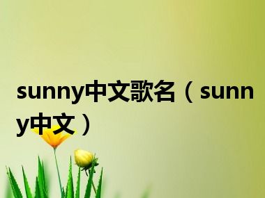 sunny中文歌名（sunny中文）