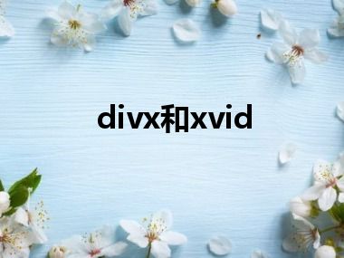 divx和xvid