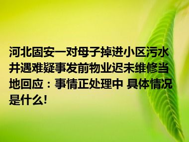 河北固安一对母子掉进小区污水井遇难疑事发前物业迟未维修当地回应：事情正处理中 具体情况是什么!