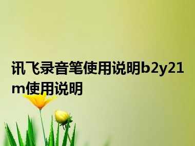 讯飞录音笔使用说明b2y21m使用说明