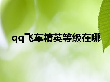 qq飞车精英等级在哪