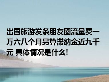 出国旅游发条朋友圈流量费一万六八个月另算滞纳金近九千元 具体情况是什么!