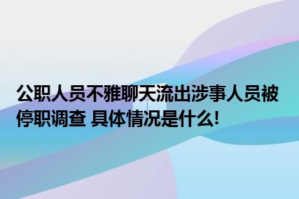 公职人员不雅聊天流出涉事人员被停职调查 具体情况是什么!