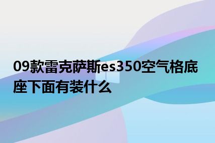 09款雷克萨斯es350空气格底座下面有装什么