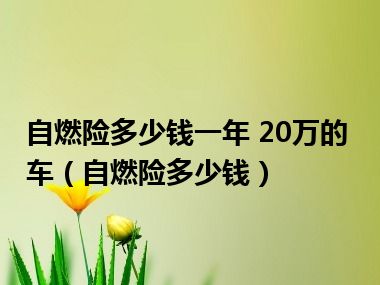 自燃险多少钱一年 20万的车（自燃险多少钱）