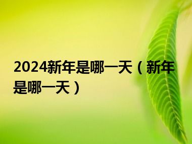 2024新年是哪一天（新年是哪一天）