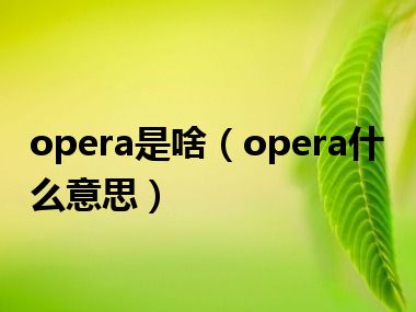 opera是啥（opera什么意思）